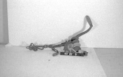 CBMM catalog image